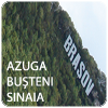 Vaivoda Vlad Stefan - fotograf in Romania, galeria pozelor realizate in orasele Brasov, Azuga, Busteni si Sinaia in anul 2007