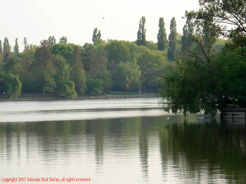 Vaivoda Vlad Stefan - fotograf in Romania fotografie cu Lacul Herastrau si insula Bucuresti 2007 panorama