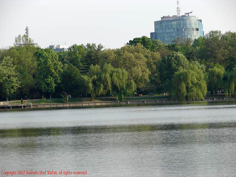 Vaivoda Vlad Stefan - fotograf in Romania Panorama din Parcul Herastrau spre Piata Charles de Gaulle 2007 Bucuresti plaza cladire birouri vegetatie verde