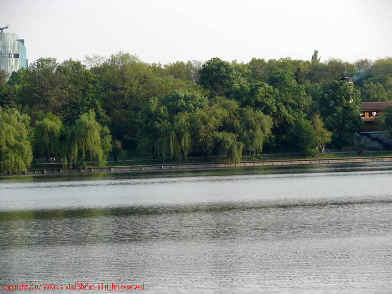 Vaivoda Vlad Stefan - fotograf in Romania Panorama din Parcul Herastrau spre Piata Charles de Gaulle 2007 plaza vegetatie verde apa lac Bucuresti