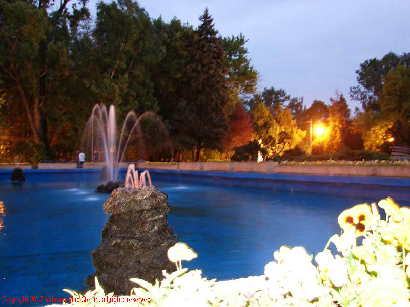 Vaivoda Vlad Stefan - fotograf in Romania flori fantana arteziana in Parcul Herastrau 2007 Bucuresti