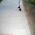 Thumbnail 4 imagine Parcul Herastrau 2007