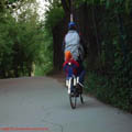 Thumbnail 5 fotografie copil plimbat pe bicicleta Parcul Herastrau Bucuresti 2007