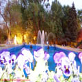 Thumbnail 26 imagini Parcul Herastrau 2007