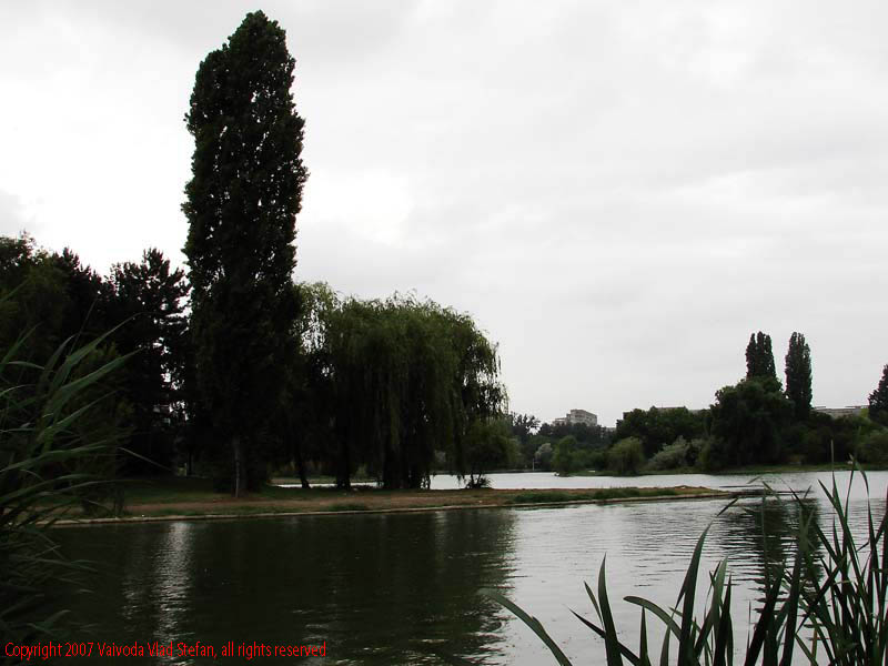 Vaivoda Vlad Stefan - fotograf in Romania panorama lac copaci vegetatie Parcul Alexandru Ioan Cuza fost Titan Bucuresti 2007