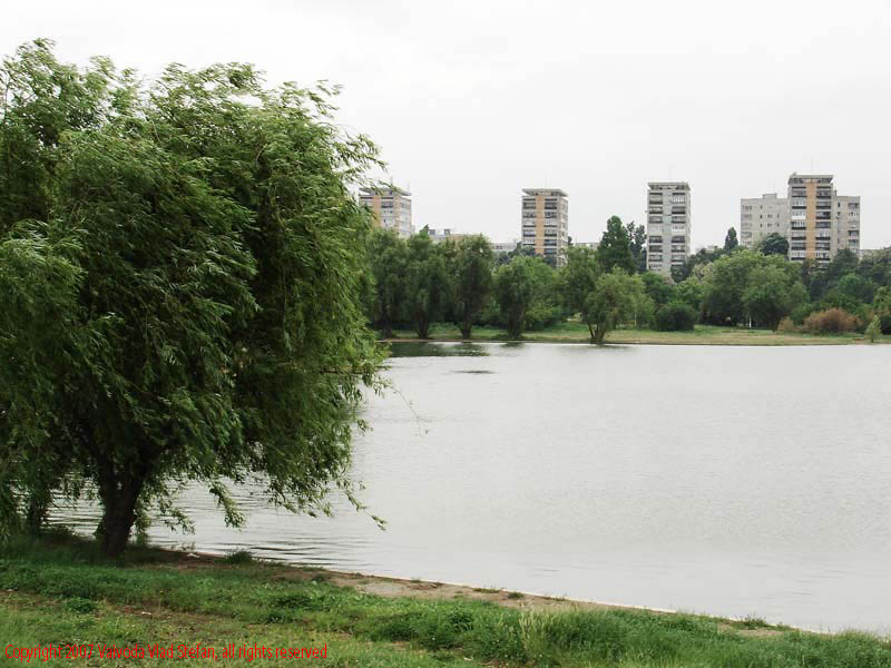 Vaivoda Vlad Stefan - fotograf in Romania panorama copaci salcie plop lac blocuri Parcul Alexandru Ioan Cuza fost Titan Bucuresti 2007