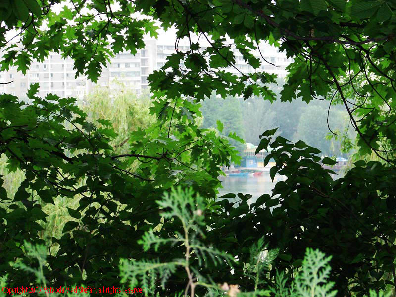 Vaivoda Vlad Stefan - fotograf in Romania debarcader copaci frunze verde lac blocuri Parcul Alexandru Ioan Cuza fost Titan Bucuresti 2007