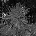 Thumbnail 3 poze galerie Parcul Titan 2007
