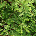 Thumbnail 4 poze galerie Parcul Titan 2007