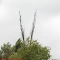 Thumbnail 9 poze galerie Parcul Titan 2007