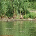 Thumbnail 23 poze galerie Parcul Titan 2007