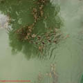 Thumbnail 37 poze galerie Parcul Titan 2007