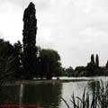 Thumbnail 52 poze galerie Parcul Titan 2007