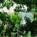 Thumbnail 67 poze galerie Parcul Titan 2007