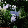 Thumbnail 68 poze galerie Parcul Titan 2007