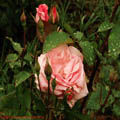 Thumbnail 75 poze galerie Parcul Titan 2007