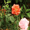 Thumbnail 77 poze galerie Parcul Titan 2007