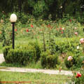 Thumbnail 85 poze galerie Parcul Titan 2007