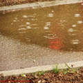 Thumbnail 86 poze galerie Parcul Titan 2007