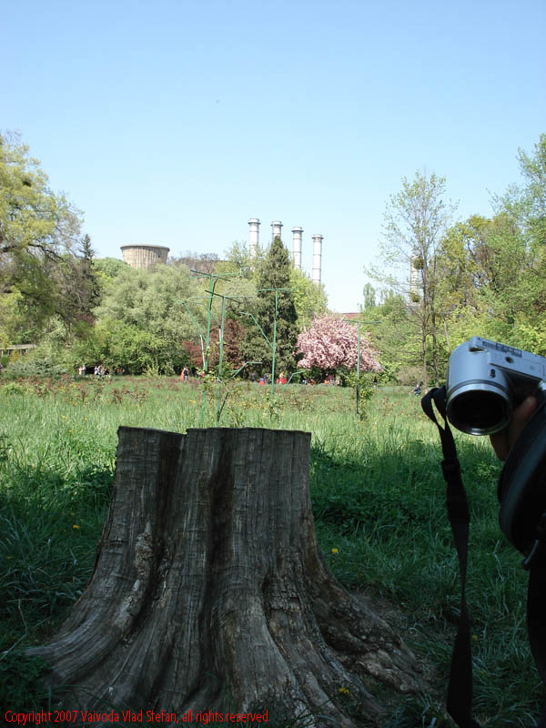 CET Grozavesti din Gradina Botanica 2007