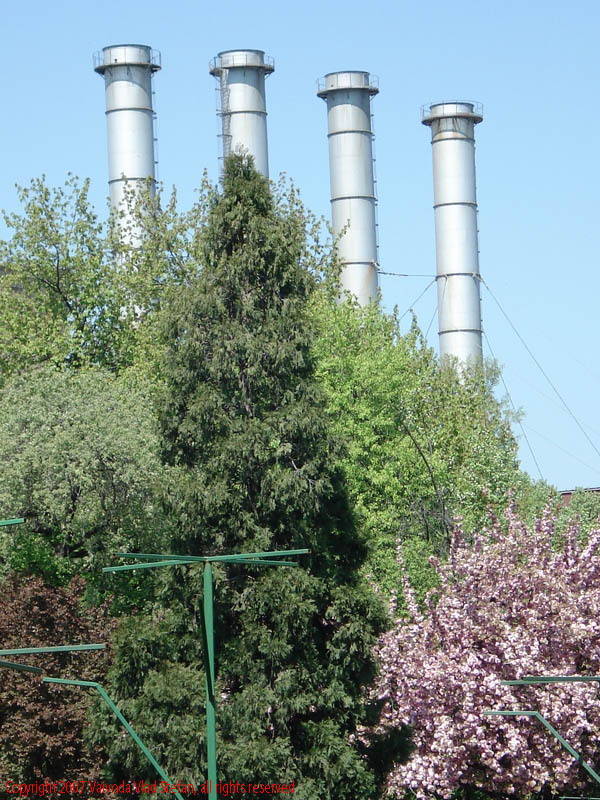 CET Grozavesti din Gradina Botanica 2007