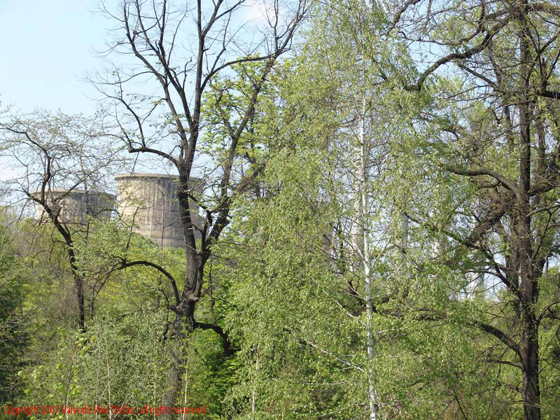 CET Grozavesti din Gradina Botanica 2007