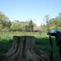 Thumbnail 1 poze galerie gradina Botanica 2007