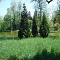 Thumbnail 7 poze galerie gradina Botanica 2007