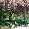 Thumbnail 16 poze galerie gradina Botanica 2007