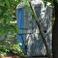 Thumbnail 20 poze galerie gradina Botanica 2007