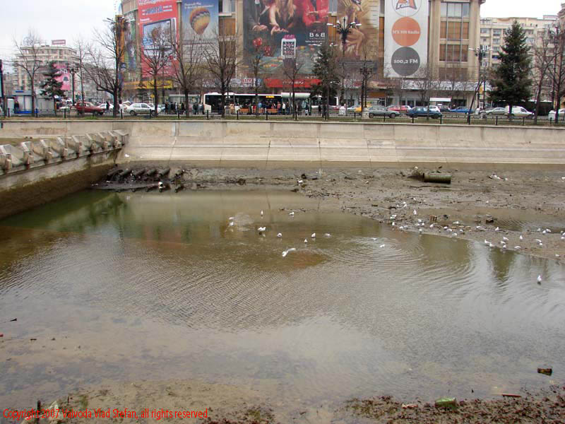 Vaivoda Vlad Stefan fotograf in Romania macara prabusita Dambovita secata apa martie pasari pescarusi Piata Splaiul Unirii 2007 Bucuresti