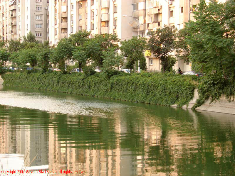 Vaivoda Vlad Stefan fotograf in Romania mail copaci boscheti inverzit verde reflexii Dambovita Splaiul Unirii 2007 Bucuresti