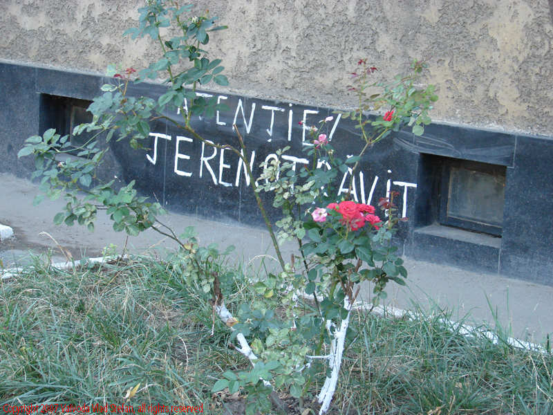 Vaivoda Vlad Stefan fotograf in Romania mesaj de avertizare inscriptie perete casa strada Traian din Bucuresti 2007