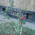 thumbnail 23 imagini  galerie Nerva Traian Foisorul de Foc 2007