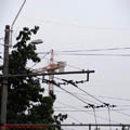 Thumbnail 17 panorama macara Calea Mosilor Eminescu 2007 poza 1