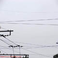 Thumbnail 18 Panorama macara Calea Mosilor Eminescu 2007 poza 2