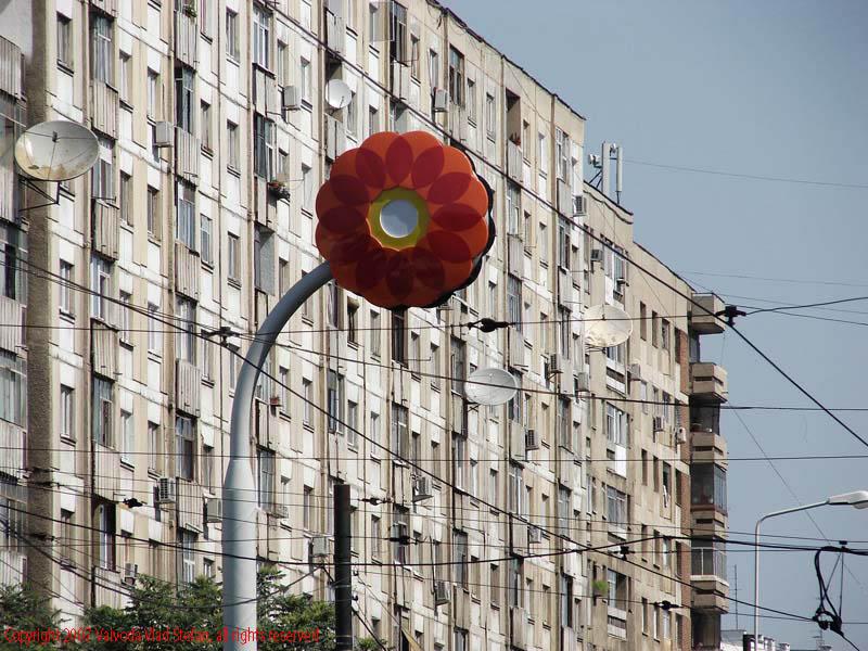 Vaivoda Vlad fotograf in Romania sigla Rompetrol fundal blocuri Mihai Bravu Bucuresti 2007