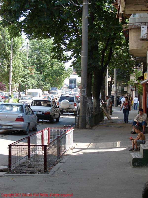 Vaivoda Vlad Stefan fotograf in Romania strada Maica Domnului sector 2 Bucuresti 2007