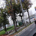 Thumbnail galerie pe strazi Bucuresti 2007