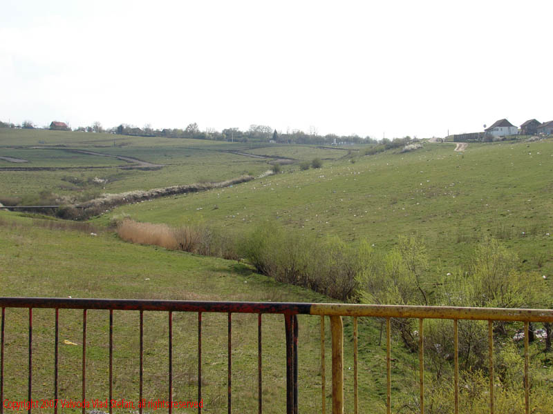 Vaivoda Vlad Stefan fotograf in Romania lucrari modernizare sosea strada Centura ocol ocolitoare Calea Sighisoarei Tg Mures 2007 cartier belvedere