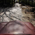 thumbnail galerie poze prin municipiul Tg Mures 2007