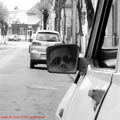 thumbnail galerie poze prin municipiul Tg Mures 2007