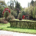thumbnail galerie poze prin municipiul Tg Mures 2007