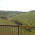 thumbnail galerie poze prin municipiul Tg Mures 2007