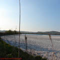 thumbnail galerie poze Azomures 2007