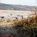 thumbnail galerie poze Azomures 2007
