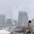 thumbnail galerie poze Azomures 2007