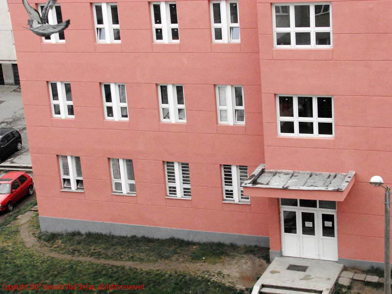 Vaivoda Vlad fotograf in Romania fosta scoala generala 15 invatamant educatie Cartierul Dambul Pietros Grupul Scolar Gheorghe Sincai 2007 blocuri locuinte cladiri piata copaci bulevardul 1848 columba livia Pasari porumbei in cartierul Dambul Pietros Tg Mures 2007