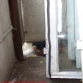 Thumbnail galerie poze dela inaltime tg Mures 2007