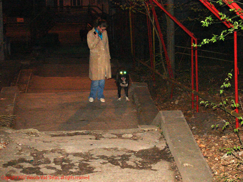 Vaivoda Vlad fotograf in Romania fata femeie intuneric seara noapte caine alee seara blit red-eye Sovata 2007